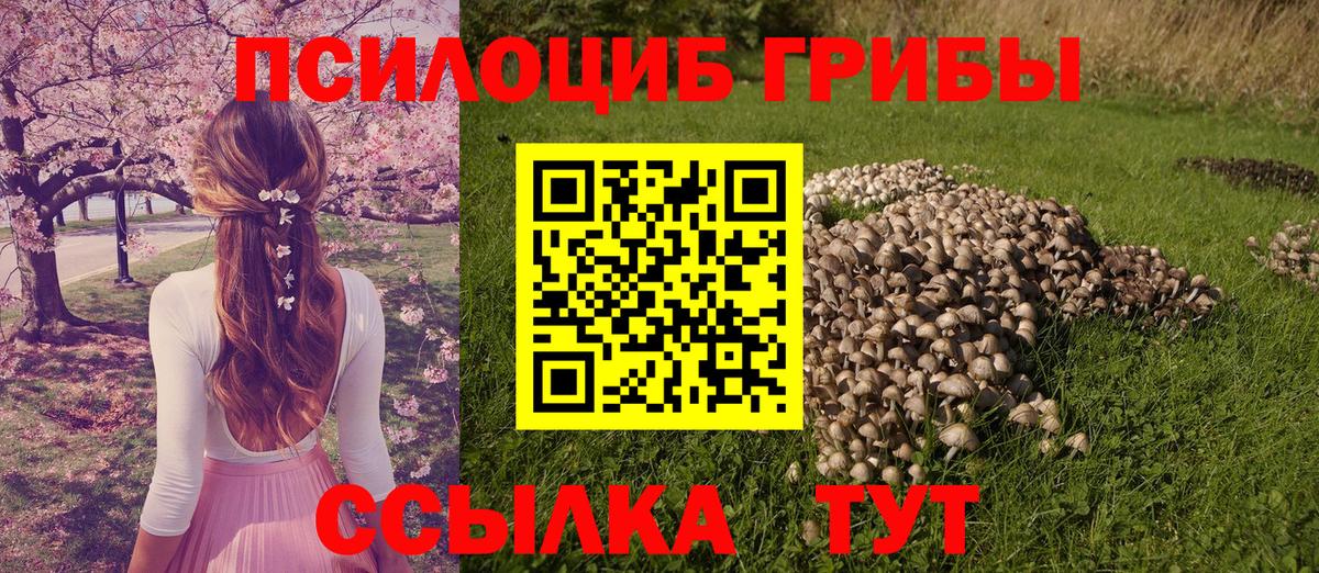 Галлюциногенные грибы MAGIC MUSHROOMS Гурьевск
