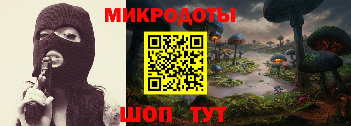 Галлюциногенные грибы GOLDEN TEACHER  Галлюциногенные грибы Psilocybine cubensis  Вход с VPN  Гурьевск 