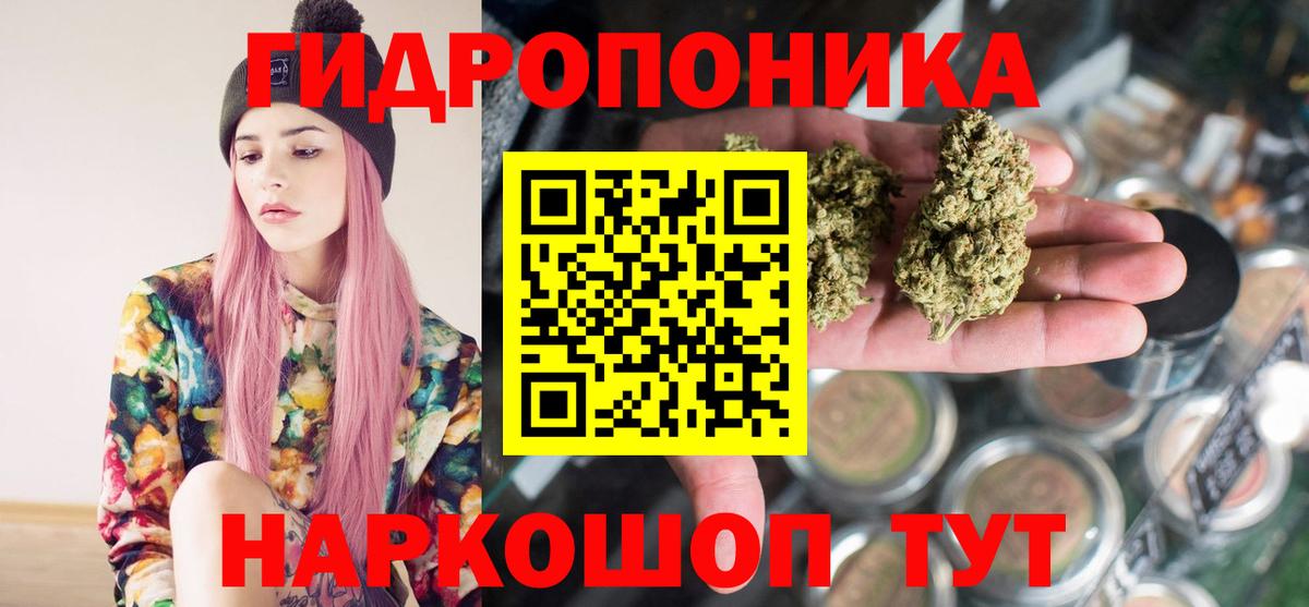 Канабис план Гурьевск